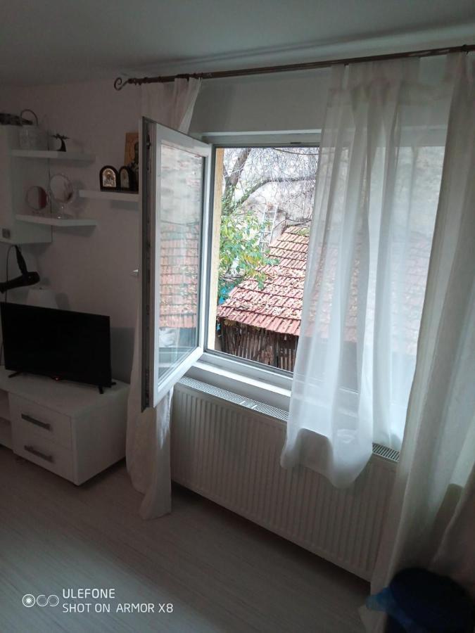 Apartament Cu Un Dormitor Spatios In Centrul คลูจ-นาโปกา ภายนอก รูปภาพ