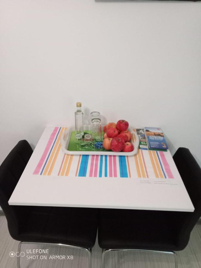 Apartament Cu Un Dormitor Spatios In Centrul คลูจ-นาโปกา ภายนอก รูปภาพ