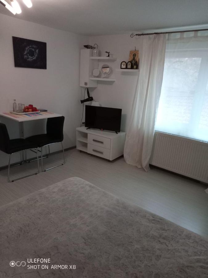Apartament Cu Un Dormitor Spatios In Centrul คลูจ-นาโปกา ภายนอก รูปภาพ