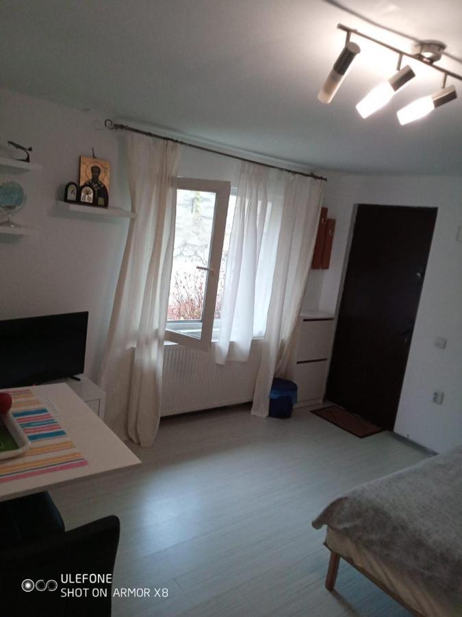 Apartament Cu Un Dormitor Spatios In Centrul คลูจ-นาโปกา ภายนอก รูปภาพ